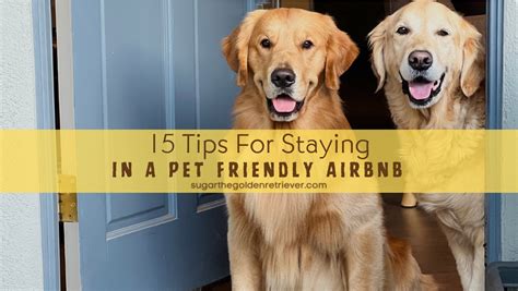 airbnb dog friendly|13 of the best dog